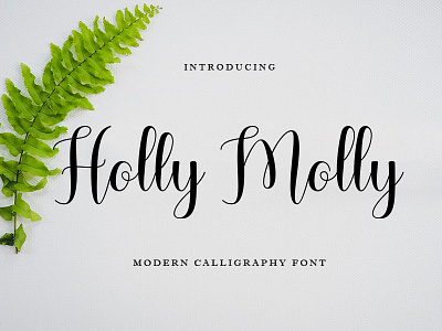 Holly Molly animation branding calligraphy casual font design graphic design illustration logo lovely script