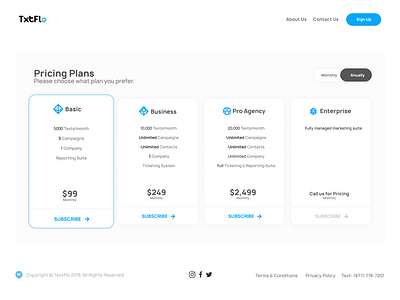Promotional Website Pricing Page