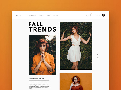 Women's Fall Fashion - Web Version blog cart checkout clothing ecommerce fall fashion landing page orange sketch social trends ui ux web design womens