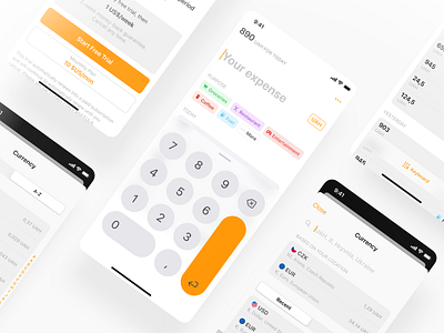 iOs Expenses Manager app app design cost expanse expenses ios mobile mobile app spend ui