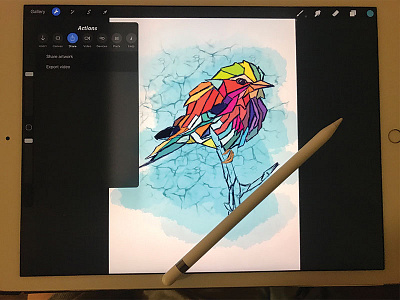 A Bird bird digitalart digitalpainting ipadpencil ipadpro procreate