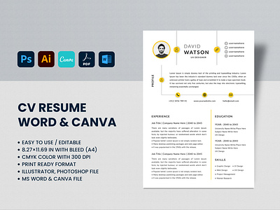 cv resume in word and canva template