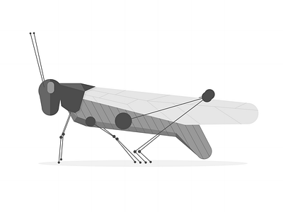 Grasshoppers Illustration