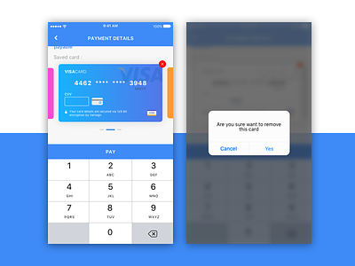 Payment app interaction ios app money pay payment ui ui design ux visa