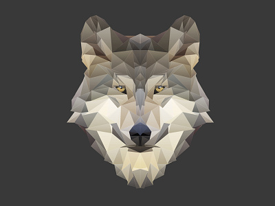 Wolfhead Polygon animal color colorful digital geometry gradient head mesh polygon shape triangles wolf