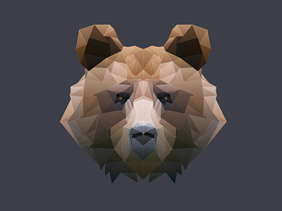 Bearhead Polygon animal bear color colorful digital geometry gradient head mesh polygon shape triangles