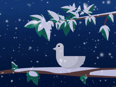Winter dove animated bird dove illustration mood night snow winter