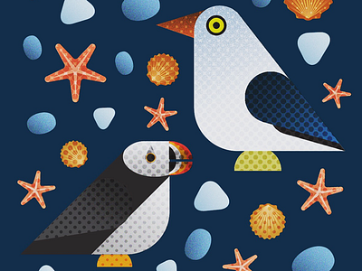 Puffin & Seagull gradients halftone illustration illustrator sketch vector wacom