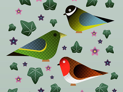 Garden Birds gradients halftone illustration illustrator texture vector wacom