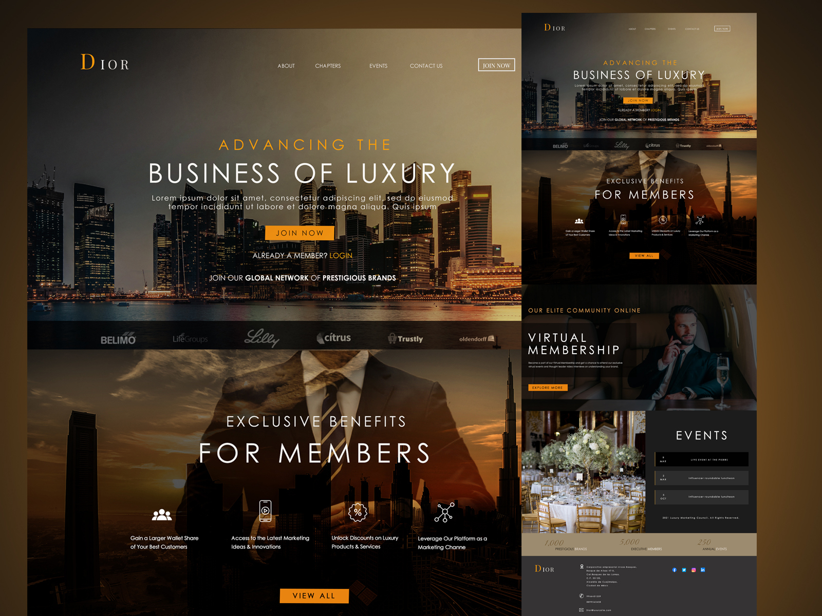 LUXURY WEB TEMPLATE by Rahul on Dribbble