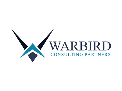 Warbird Consulting Partners bird blue branding consulting financial logo mark war warbird