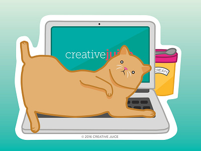 Netflix and Meow cat computer creative design lazy summer