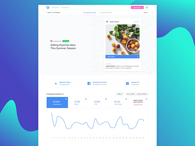 Instaon Campaign Edit - Preview V2 advertising advertising analytics advertising campaign analytics campaign dashboard data marketing marketing analytics marketing campaign metrics saas strategy