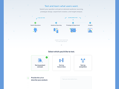 Landing page ab audience sourcing experiment form insights lead generation marketing product test prototype questionnaire split test submit questions