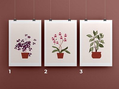Interior plants 1/3 illustration plant poster vector