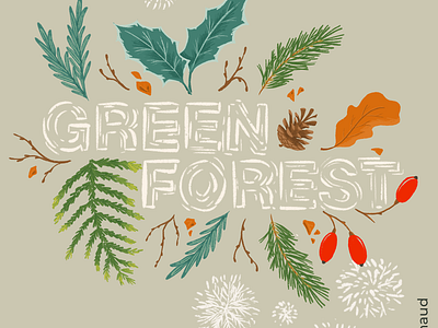 Green Forest Hand Lettering botanical christmas forest green hand lettering nature procreate winter