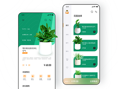detail page botany classify commodity dailyui green product shopping shopping app ui ux