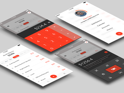 Minimal expense manager App concept expense manager principle sketch