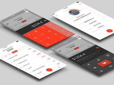 Minimal expense manager App concept