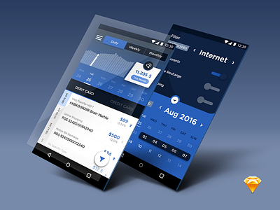 Banking App Concept.