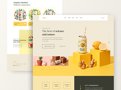 Sliozo Landing page