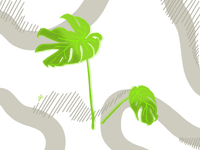 Monstera Leaves leaves nature plant plant illustration