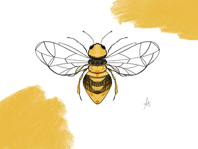 Honeybee illustration graphic design illustration logo