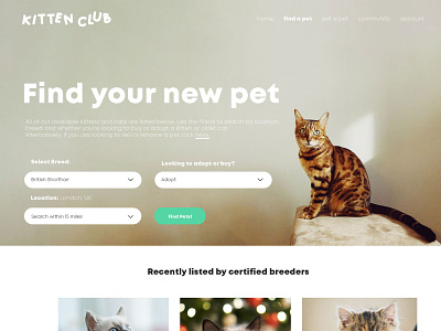 Kitten Club design web design website