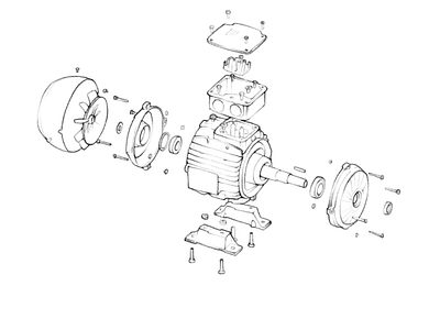 Asynchronous Motor