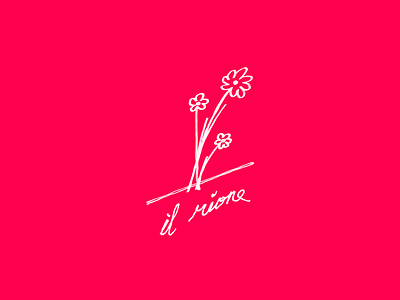 Il Rione Pizza - Cleveland, Ohio branding cleveland flowers graphic design illustration marker pizza