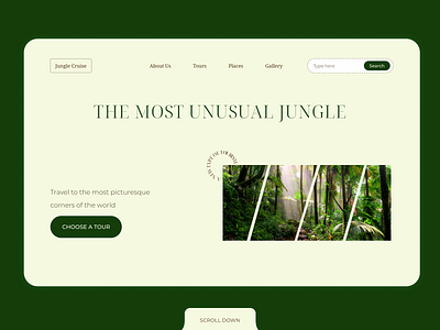 Jungle Tour design web design website design