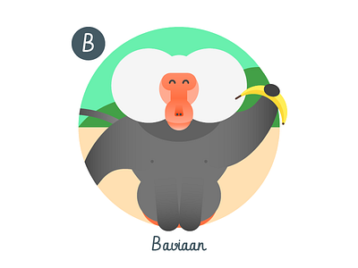 B is for Baviaan