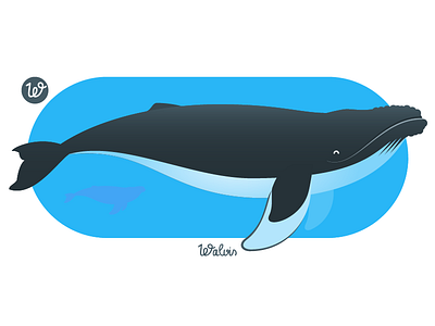 W is for Walvis