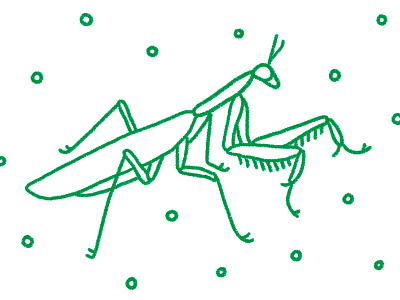 Mantis Religiosa antenna green illustration insect line mantis outline pattern pray praying mantis