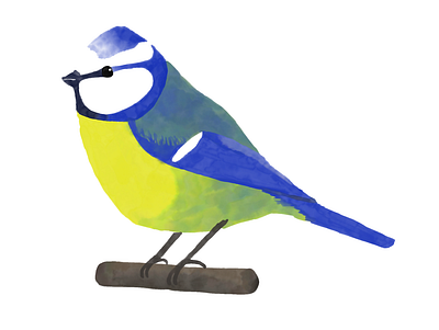 Blue Tit adobe fresco bird blue tit painting watercolor