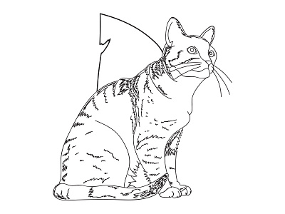Illustration // Queen Sheba cat drawing illustration line line art sketch
