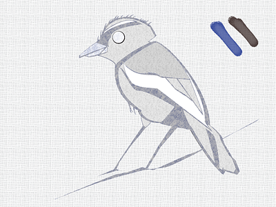 Blue Jay Phase 2 bird blue jay color illustration texture wip work in progress