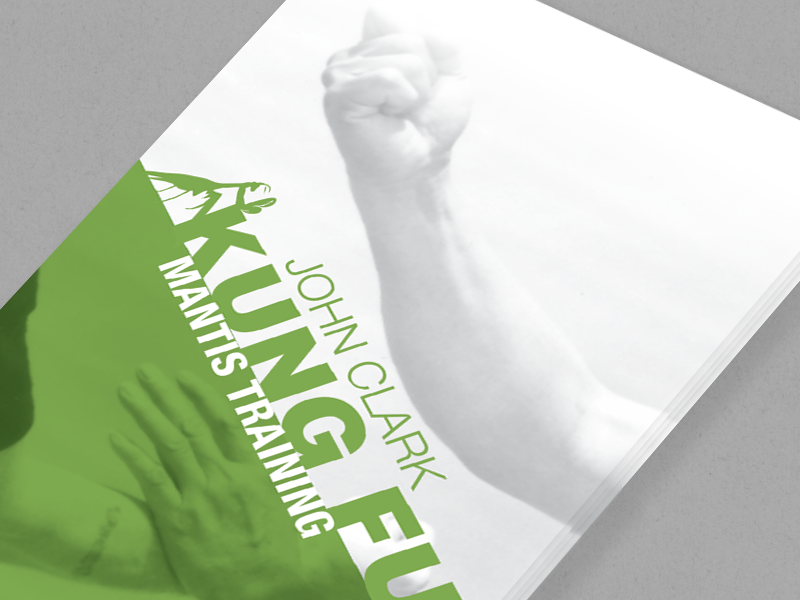 Kung Fu Business Card Concept graphic design kung fu 1960s 1970s wip logo type business cards print