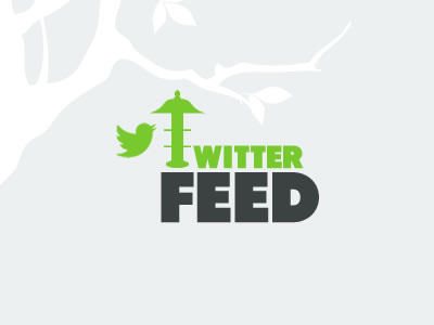 Twitter Feed bird feeder twitter feed