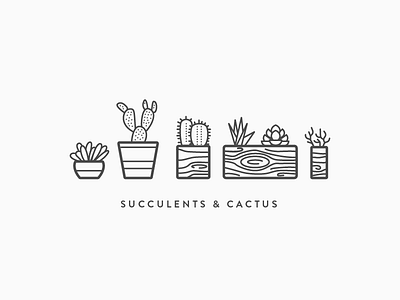 Succulents & Cactus cactus line outline planter plants simple succulents vector wood