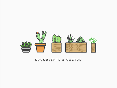 Succulents & Cactus in Color cactus line outline planter plants simple succulents vector wood