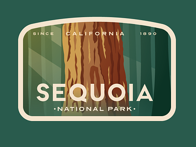 Sequoia National Park badge california design forrest logo redwoods sunlight tree trees vintage