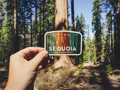 Sequoia National Park Tree badge design forrest logo national park sequoia sticker tree vinyl