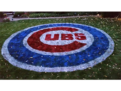 Cubs Logo grass spray paint