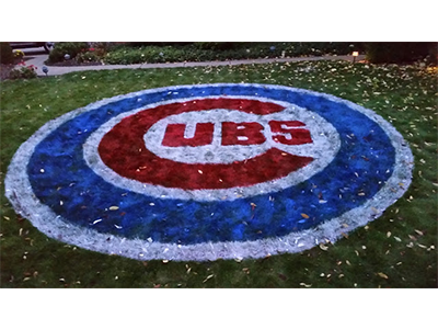 Cubs Logo