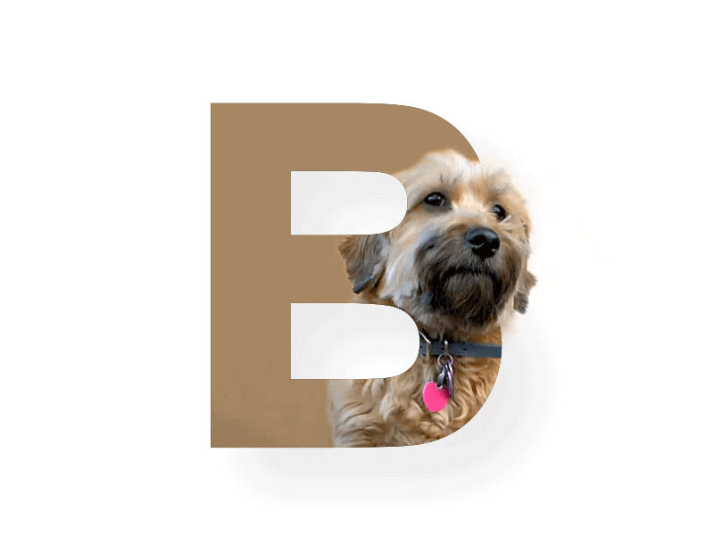 B For Dog gif minimal