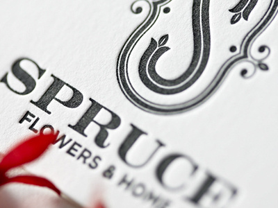 Spruce branding graphic interior photography