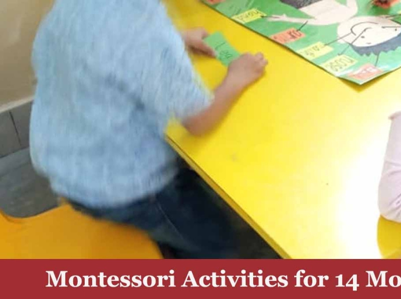 Montessori Activities for 14 Month Old by Montessori Line on Dribbble