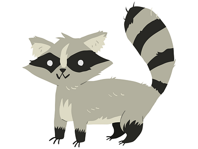 Raccoon