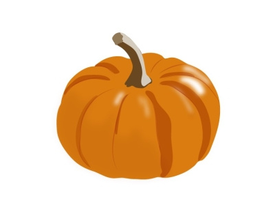 Pumpkin design food illustration illustrator logo pumkin vector vegetables